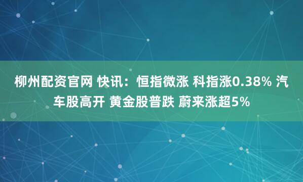 柳州配资官网 快讯：恒指微涨 科指涨0.38% 汽车股高开 黄金股普跌 蔚来涨超5%